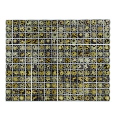 Image showing  208 Quail Egg Tray