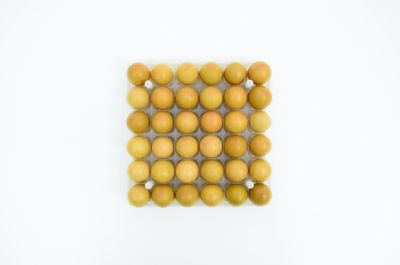 Image showing  36 Chicken Egg Tray