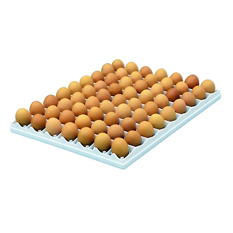 Cimuka Chicken Egg Setter Tray - 80 Eggs
