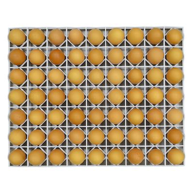 Image showing  80 Chicken Egg Tray