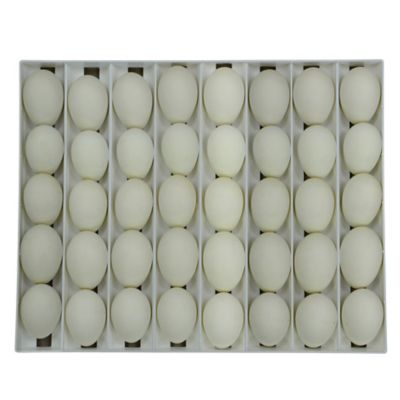 Cimuka Goose Egg Setter Tray - 40 Eggs