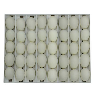 Image showing  40 Goose Egg Tray
