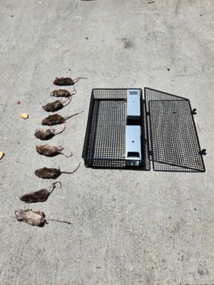 Image showing  Mouseinator Mouse Trap