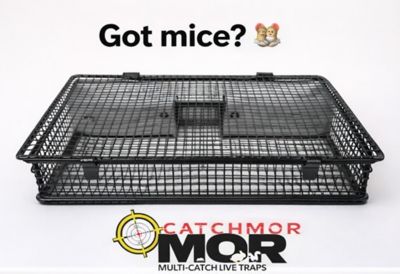 Image showing  Mouseinator Mouse Trap