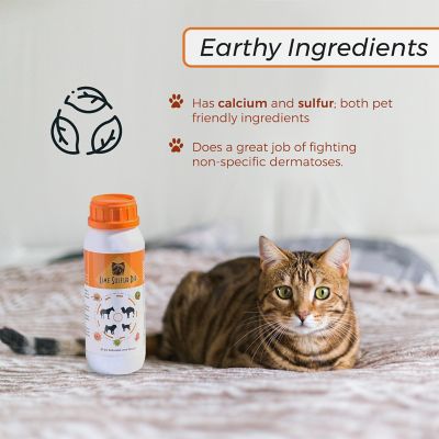 Image showing  Xtra Strength Itchy and Dry Skin Lime Sulfur Dip for Dogs, 16 oz.