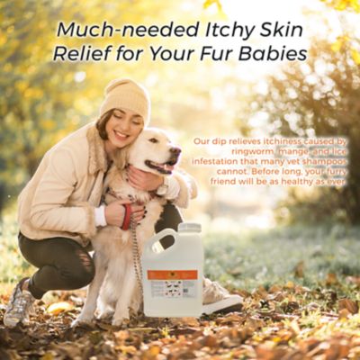 Image showing  Xtra Strength Itchy and Dry Skin Lime Sulfur Dip for Dogs, 1 gal.
