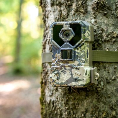 Image showing  48 MP Trail Cameras, 2-Pack