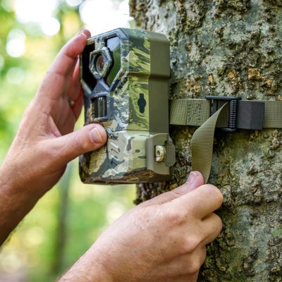 Image showing  48 MP Trail Cameras, 2-Pack