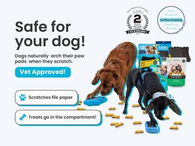 Image showing  Scratch Square, Small/Medium