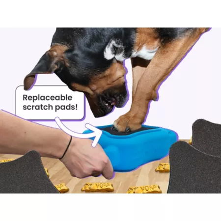 De'Vora Scratch Square medium/large Pet Nail Clippers & Grinders