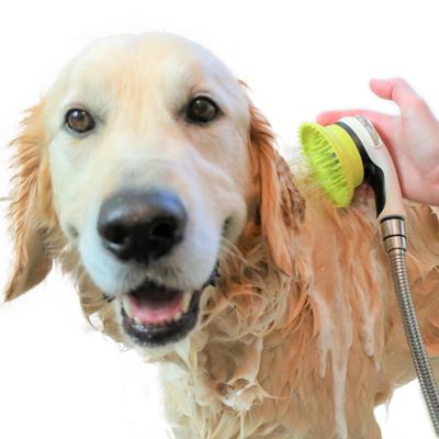 Wondurdog Quality Indoor / Outdoor Dog Wash Kit for Shower and Garden ...