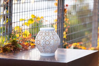 Image showing  Punched Metal Daisy Lantern, Cannoli Cream