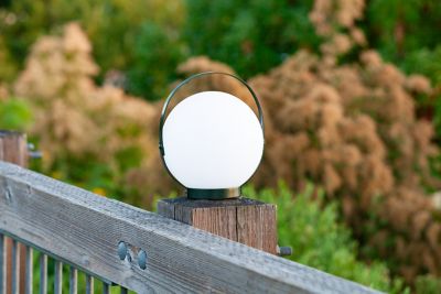 Image showing  Moonrise Lantern, Evergreen