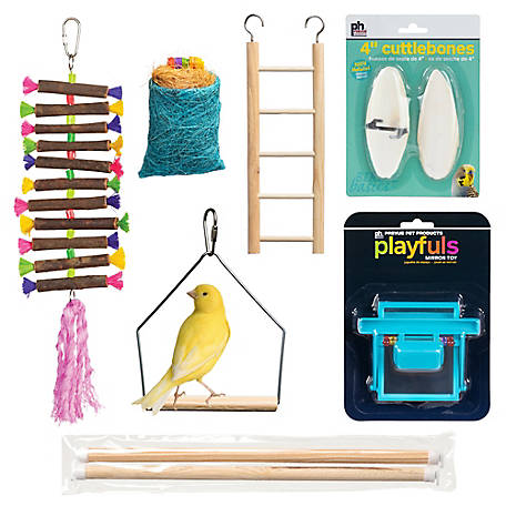 Prevue Pet Products Birdie Basics Bird Toy Bundle Kit 63006
