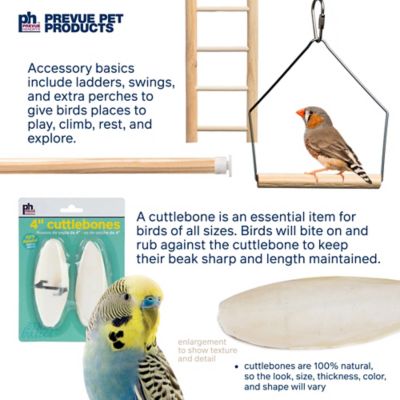 Image showing 5 th Prevue Pet Products Birdie Basics Bird Toy Bundle Kit 63006