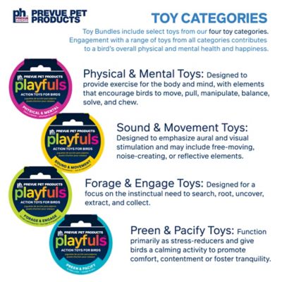 Image showing 7 th Prevue Pet Products Birdie Basics Bird Toy Bundle Kit 63006