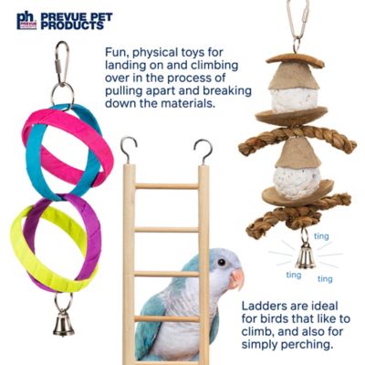 Image showing 5 th Prevue Pet Products Bells & Bites Bird Toy Bundle 63007