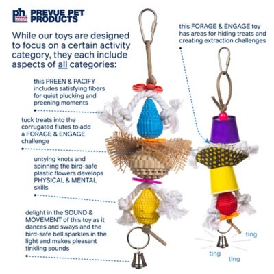 Image showing 6 th Prevue Pet Products Bells & Bites Bird Toy Bundle 63007