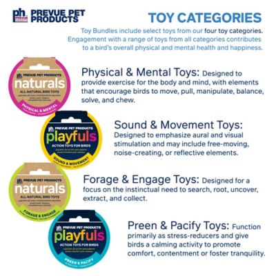 Image showing 7 th Prevue Pet Products Bells & Bites Bird Toy Bundle 63007