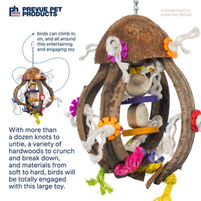 Image showing 6 th Prevue Pet Products Big Birds and Parrots Toy Bundle 63008