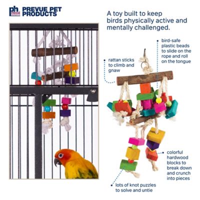 Image showing 7 th Prevue Pet Products Big Birds and Parrots Toy Bundle 63008