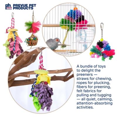Image showing  Preen & Pacify Bird Toy Bundle 63010