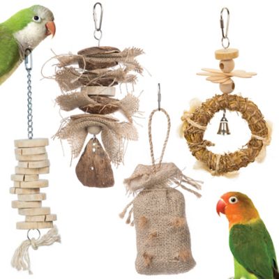 Prevue Pet Products Wholesome Naturals 4 pc. Bird Toy Bundle 63011