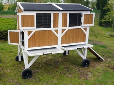 Image showing  Free-Range Chicken Coop, 12 Chicken Capacity