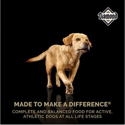 Image showing 2 th Diamond Premium All Life Stages Chicken Formula Dry Dog Food