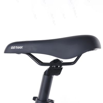 Image showing 9 th GOTRAX MX1 Mid Drive Electric Bike