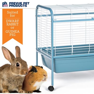 Image showing  Small Animal Home with Stand for Dwarf Rabbit or Guinea Pig, Blue