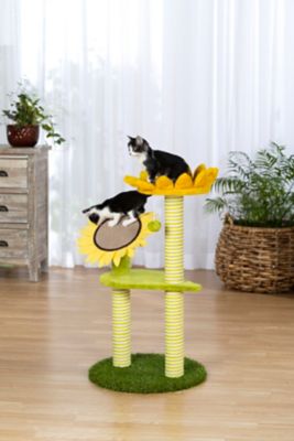 Image showing  36 1/4 in. Sunflower Playground Cat Scratching Post Tree Activity Center with Toy