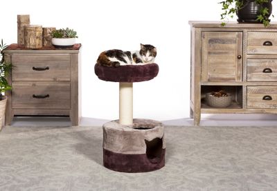 Image showing  Kitty King Cat Bed and Scratcher