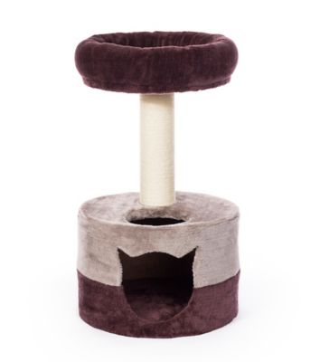 Image showing  Kitty King Cat Bed and Scratcher