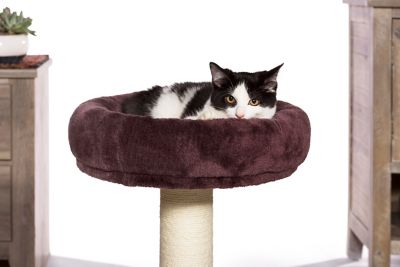 Image showing  Kitty King Cat Bed and Scratcher