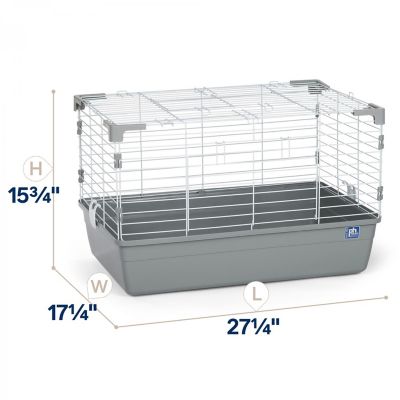 Image showing  Small Animal Tubby - Small, Gray