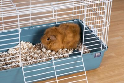 Image showing  Small Animal Tubby Cage, Small, Ice Blue