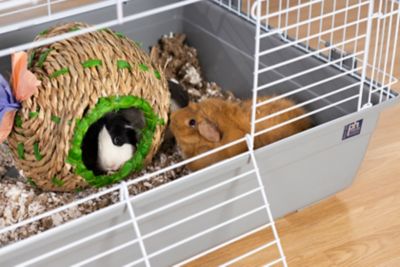 Image showing  Small Animal Tubby Cage, Large, Gray