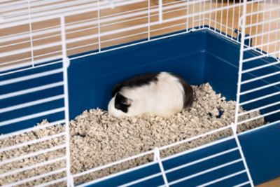 Image showing  Small Animal Tubby Cage, Jumbo, Navy