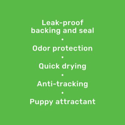 Image showing  Unscented Puppy Training Pads, XXL, 100 ct.