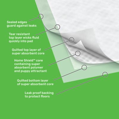 Image showing  Unscented Puppy Training Pads, XXL, 100 ct.