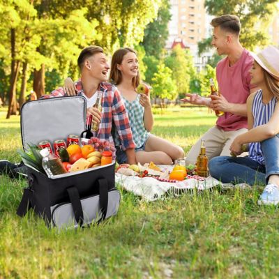 Image showing 7 th Ivation 15L Electric Cooler Bag, Portable Thermoelectric 12V Cooler with Shoulder Strap