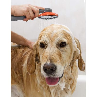 Image showing 6 th Ivation Portable Camping Shower, Hands-Free Rechargeable Camping Showerhead with Pump and 6 ft. Hose