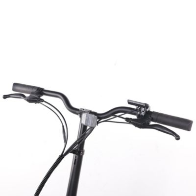 Image showing 8 th GOTRAX Porter Electric Cargo Bike