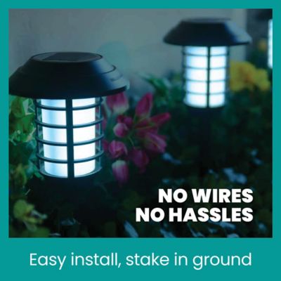 Image showing 6 th Bell & Howell Stainless Steel Solar Powered Landscape Light (4-Pack)