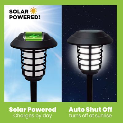 Image showing 9 th Bell & Howell 11-Lumen Solar-Powered LED Pathway Lights Color Changing with Remote, 8-Pack