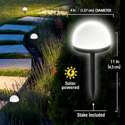 Image showing  Solar Powered Dome Shaped LED Path Lights, 8 pk.
