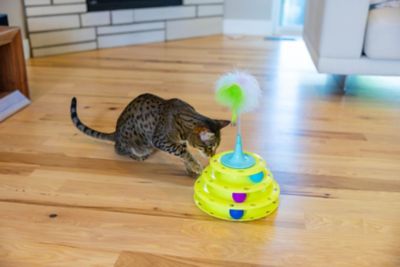 Image showing  Tower of Tracks Kitty Face