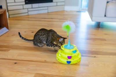 Image showing  Tower of Tracks Kitty Face