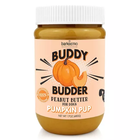 Buddy Budder Pumpkin Pup Buddy Budder 17 oz. Dog Soft & Chewy Treats